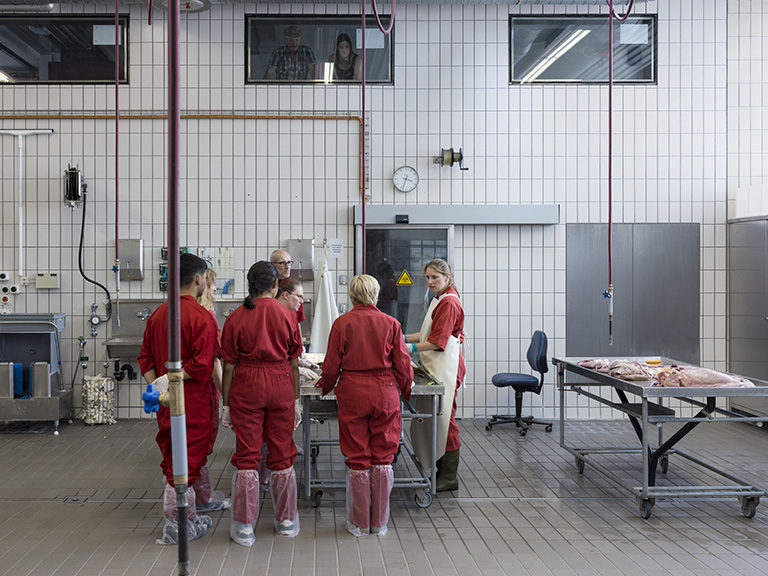 Besuchende des Tags der offenen Tür in roten Overalls in der Tierpathologie