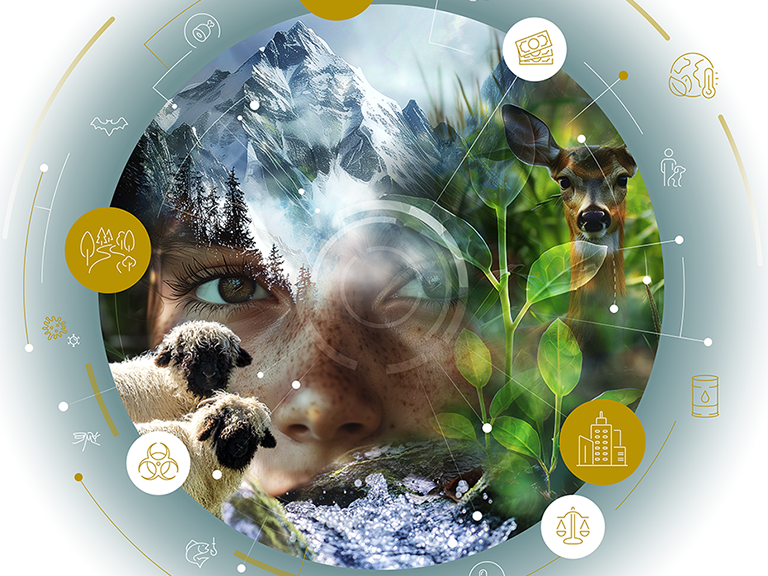 Banner CAS ONe Health