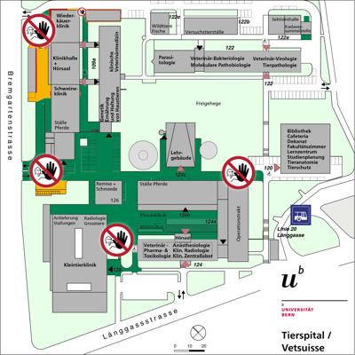 Situationsplan des Areals Tierspital