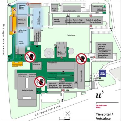 Situationsplan des Areals Tierspital: Markiert sind die Wiederkäuer- und die Schweineklinik mit den zugehörigen Büros