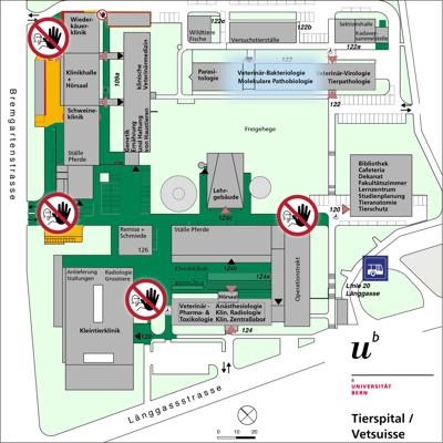 Situationsplan des Areals Tierspital: Markiert ist die Mitte des Gebäudes 122 mit der Bakteriologie und der molekularen Pathologie
