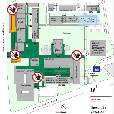 Situationsplan des Areals Tierspital: Markiert ist die westliche Seite des Gebäudes 122 mit der Pathologie und der Virologie
