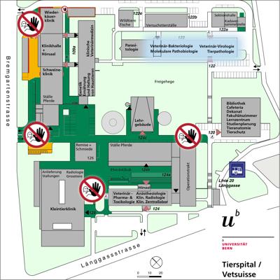 Situationsplan des Areals Tierspital: Markiert ist das Gebäude 122 mit der Pathologie