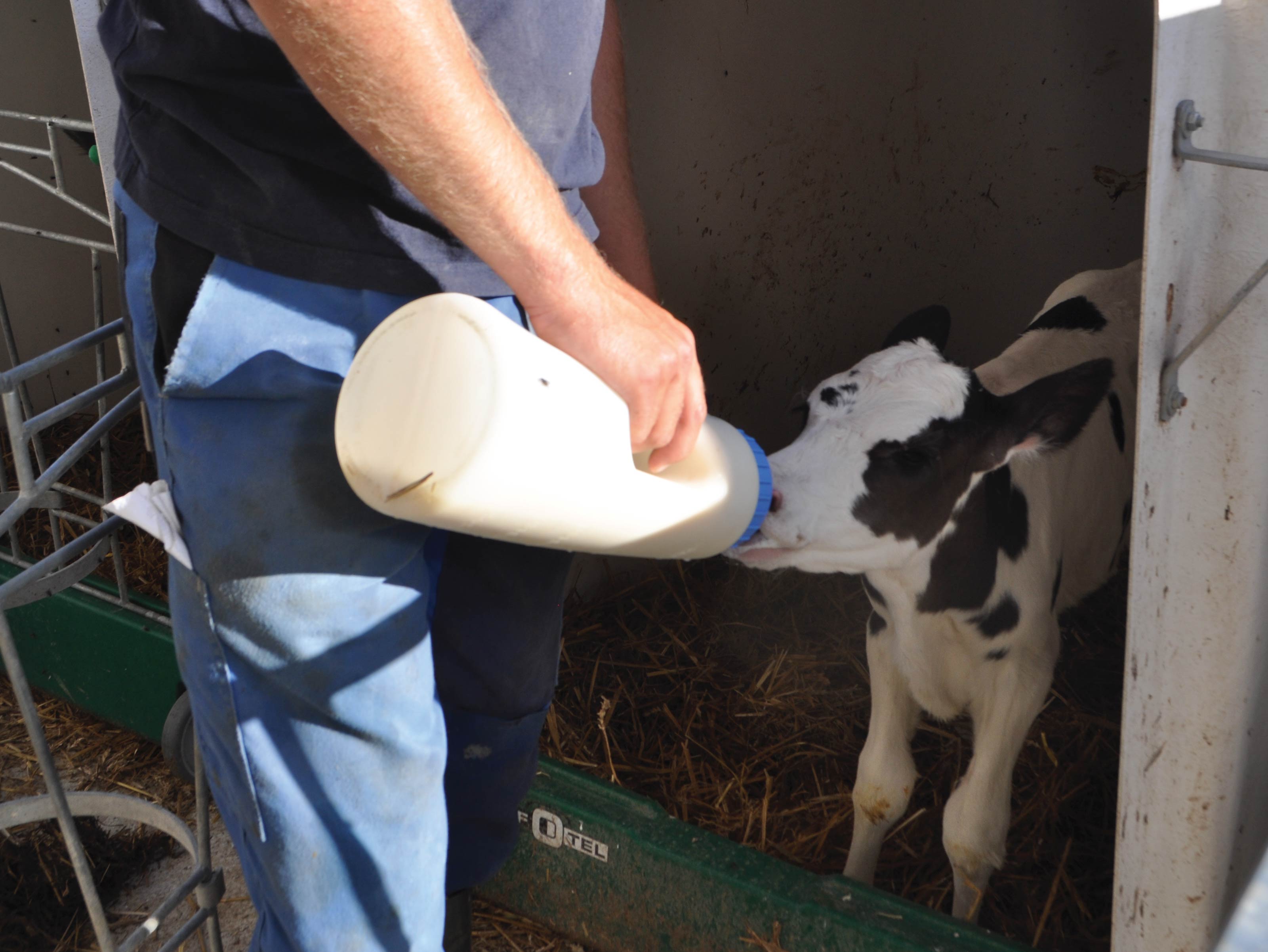 © Clinic for Ruminants, Vetsuisse Faculty