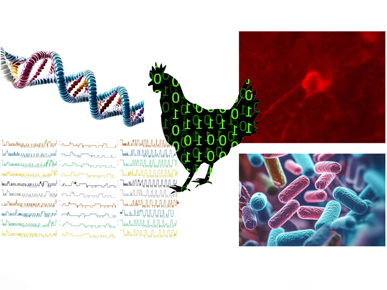 © Michael J Toscano