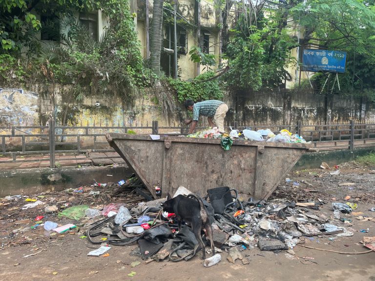 © Laura Cunha Silva