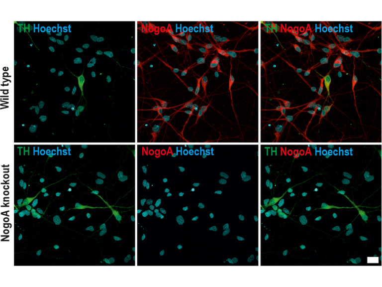 © vpi.vetsuisse.unibe.ch