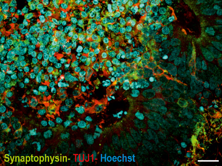 © vpi.vetsuisse.unibe.ch