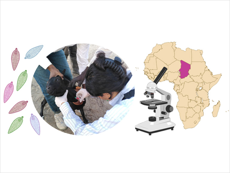 Photo: Salome Dürr; image created with biorender.com